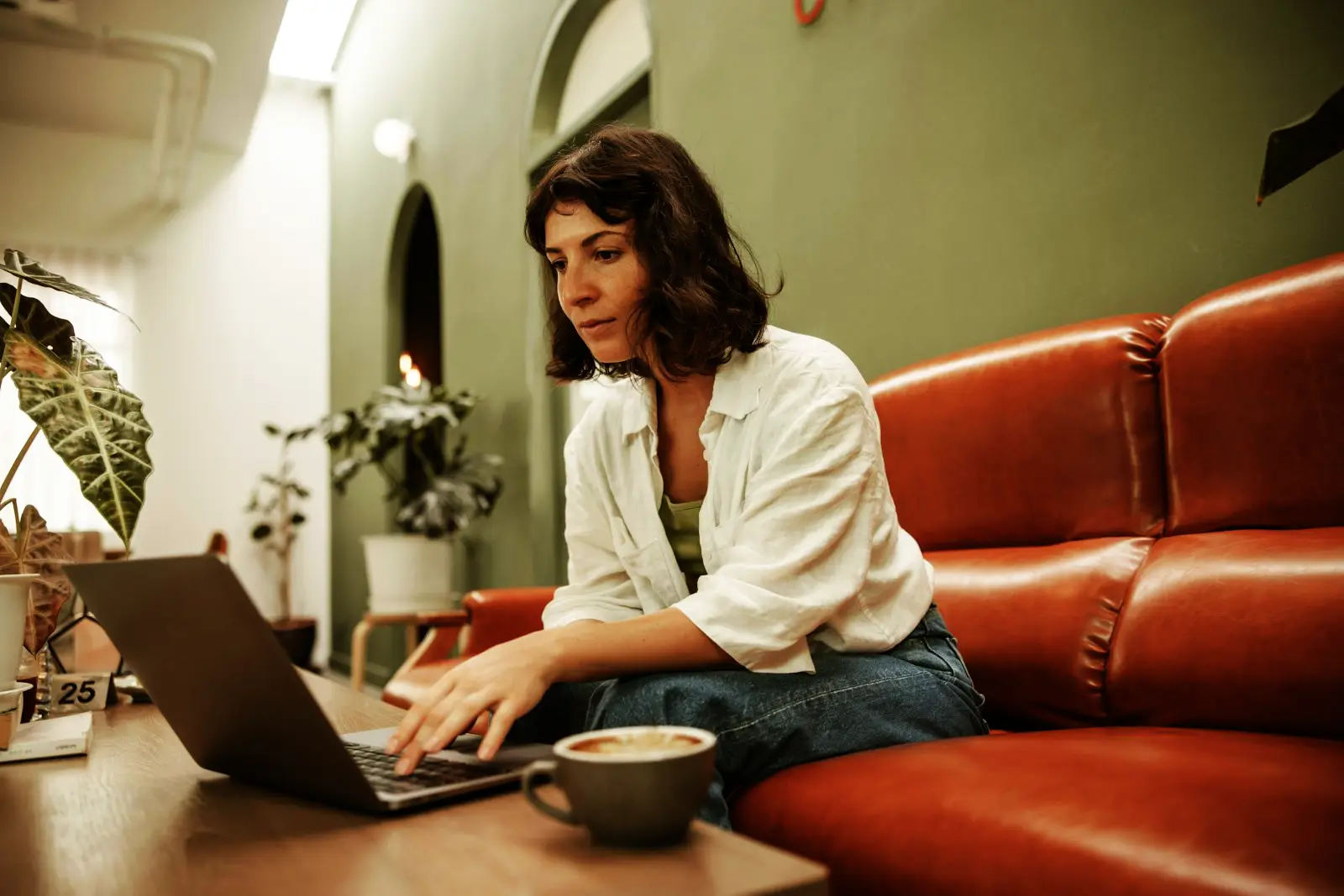 Professional legal services